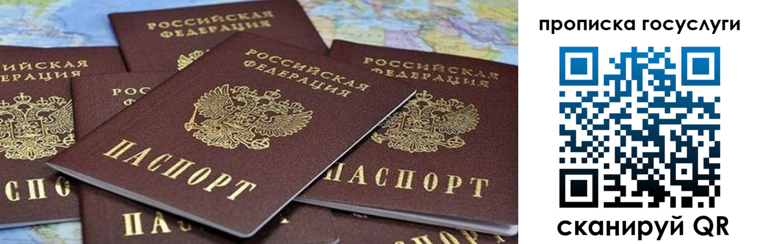 пропишу в квартире в Ивантеевке